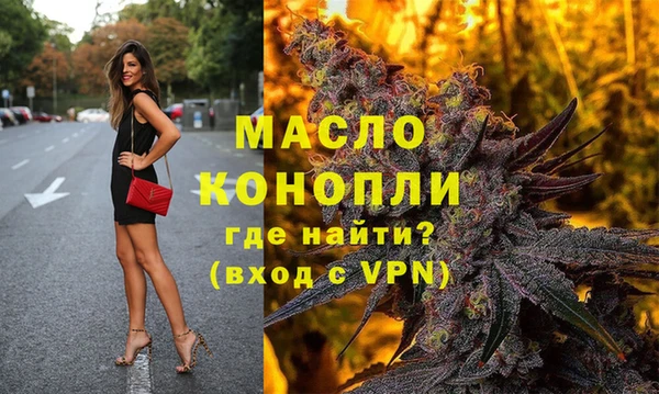 первитин Гусев