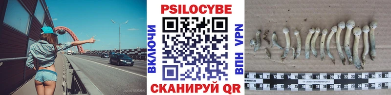 МЕГА ТОР  Новочебоксарск  Псилоцибиновые грибы MAGIC MUSHROOMS  наркота 